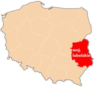MID SIZE CITIES - flash raport: województwo lubelskie